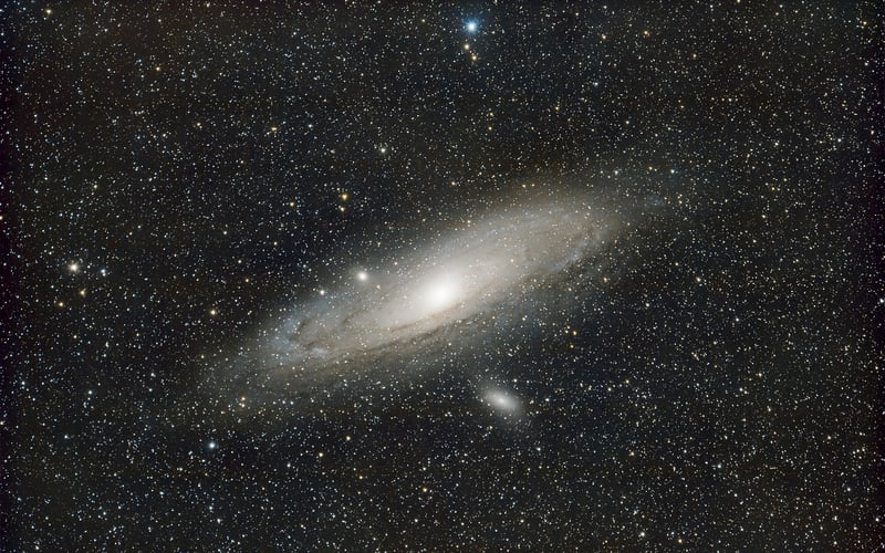 Diverse Universe